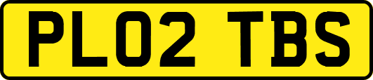 PL02TBS