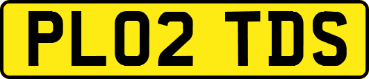 PL02TDS
