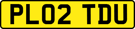 PL02TDU