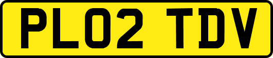 PL02TDV