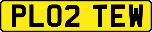 PL02TEW