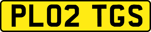 PL02TGS