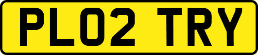 PL02TRY