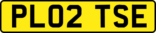 PL02TSE