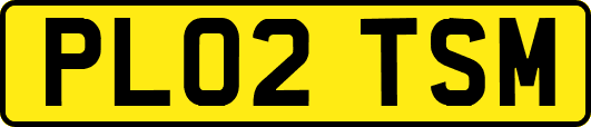 PL02TSM