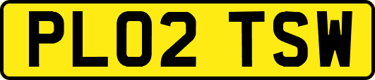 PL02TSW
