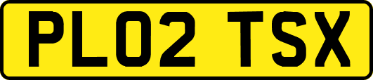 PL02TSX