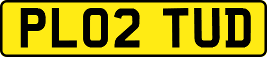 PL02TUD