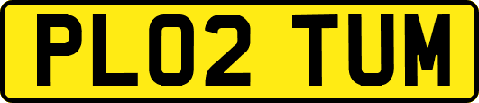 PL02TUM