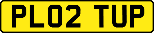 PL02TUP