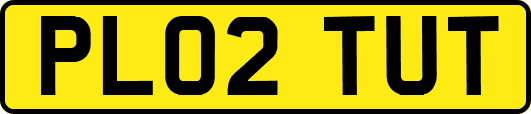 PL02TUT