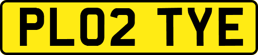 PL02TYE