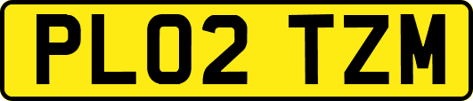 PL02TZM