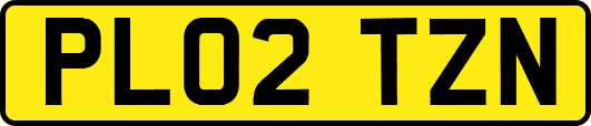 PL02TZN