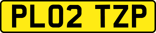PL02TZP
