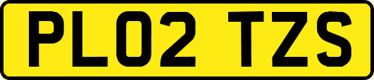 PL02TZS