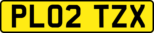PL02TZX