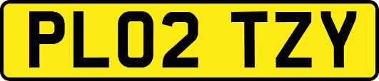 PL02TZY
