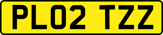PL02TZZ