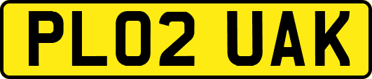 PL02UAK