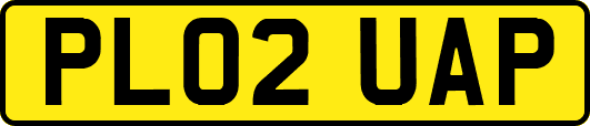 PL02UAP