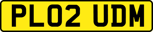 PL02UDM