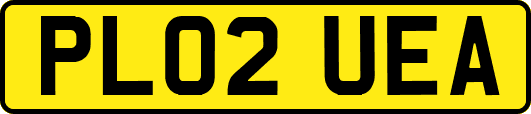 PL02UEA