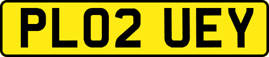 PL02UEY