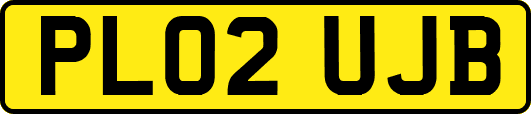 PL02UJB