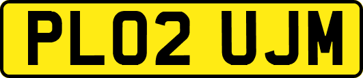 PL02UJM