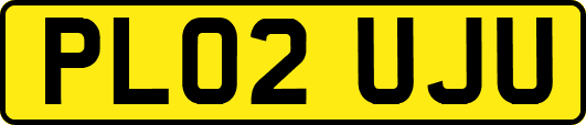 PL02UJU