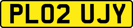 PL02UJY