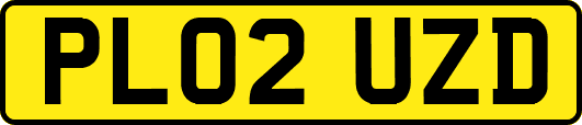 PL02UZD