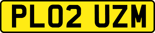 PL02UZM