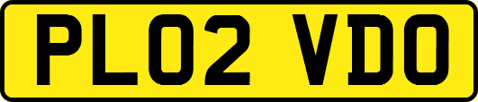 PL02VDO