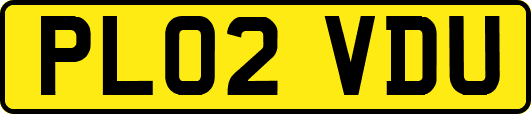 PL02VDU