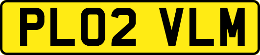PL02VLM