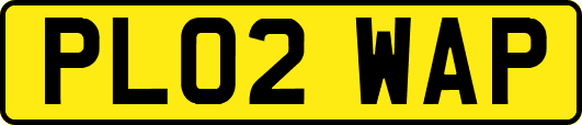 PL02WAP