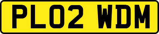 PL02WDM
