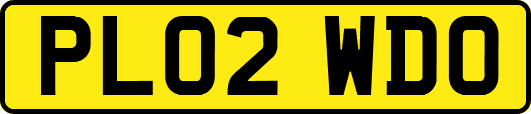 PL02WDO