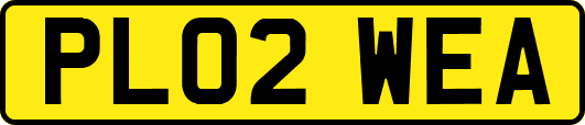 PL02WEA