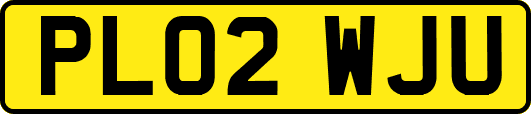 PL02WJU