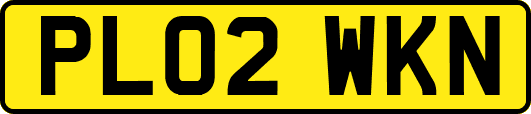 PL02WKN