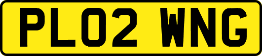 PL02WNG