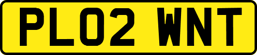 PL02WNT
