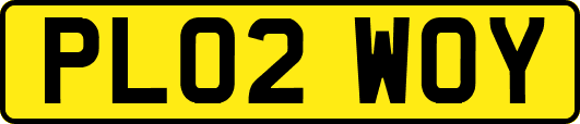 PL02WOY