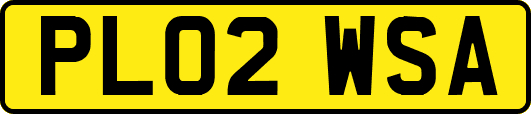 PL02WSA