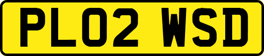 PL02WSD