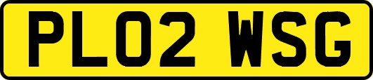 PL02WSG