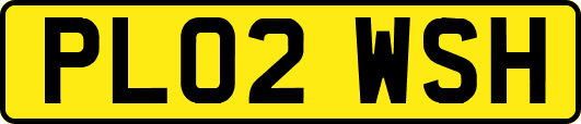 PL02WSH